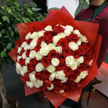 Букет Букет из 101 розы (красные и белые розы) [код товара   129884]