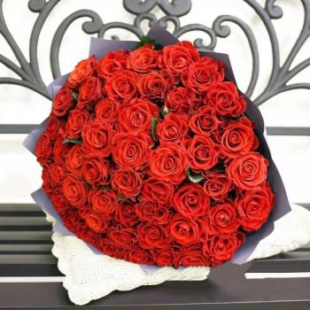 Букет Красная роза Эквадор 51 шт №  226404srt