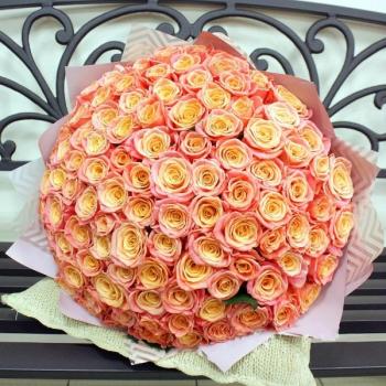 Букет Оранжевые розы Эквадор 101 шт (50 см) articul: 226936